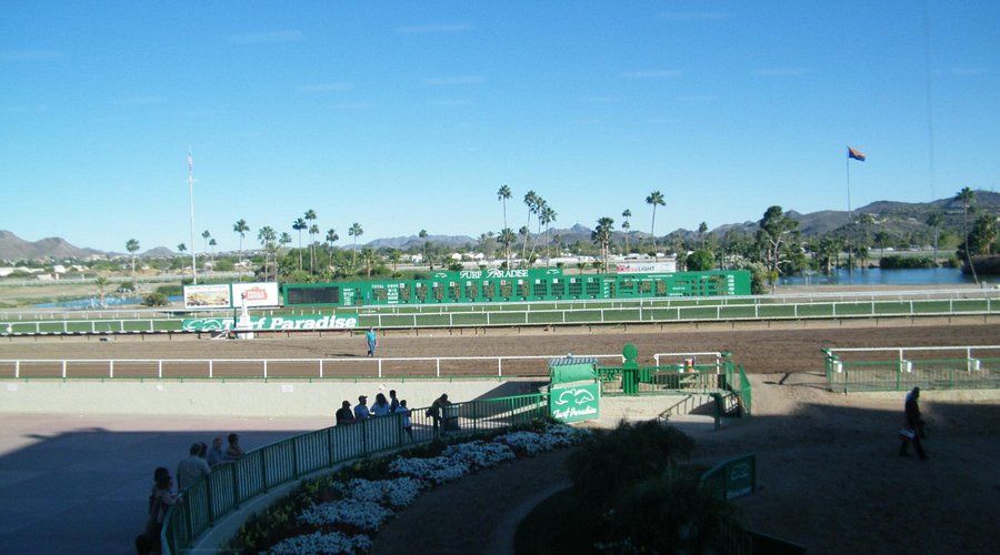Turf Paradise: A Locals Guide to Food, Drinks, and Fun at the Track!
