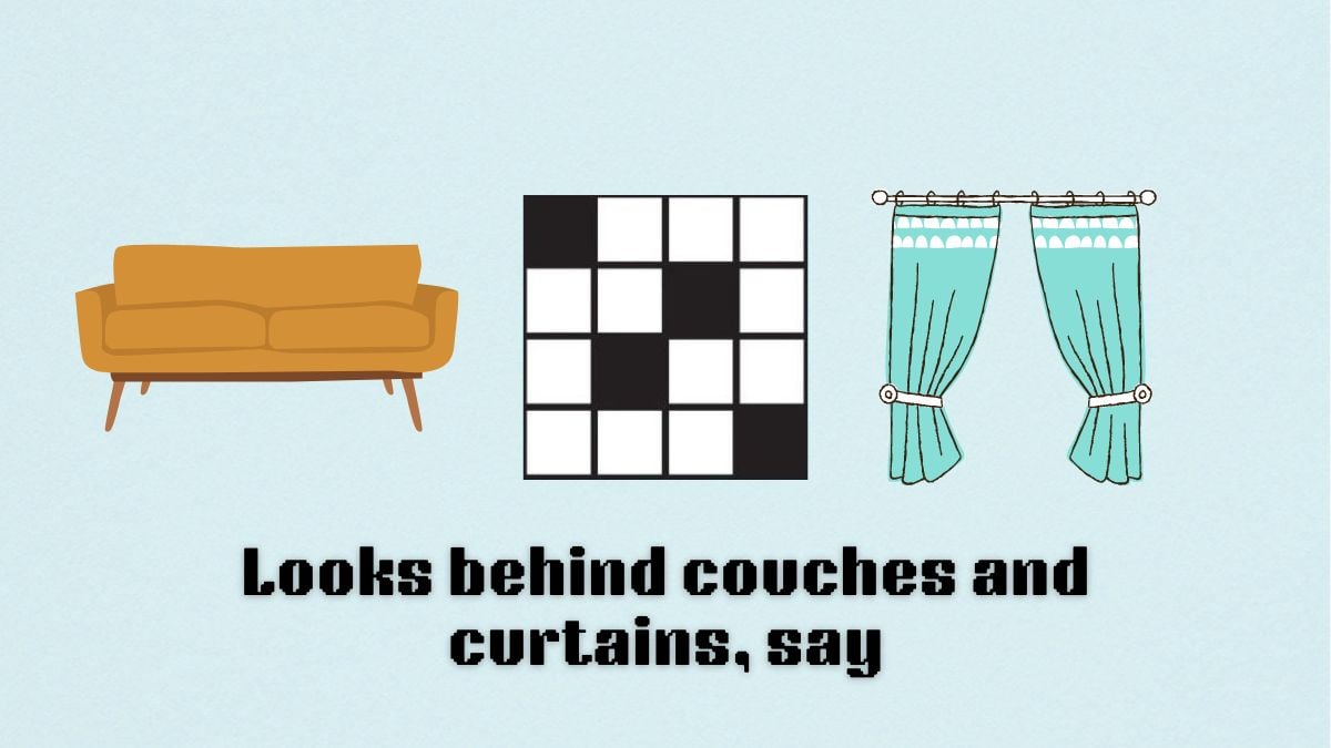 Looks Behind Couches and Curtains Say: Uncovering Secrets in Your Home