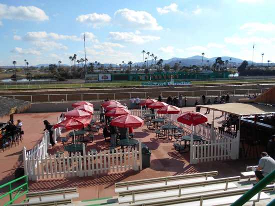 Turf Paradise: A Locals Guide to Food, Drinks, and Fun at the Track!