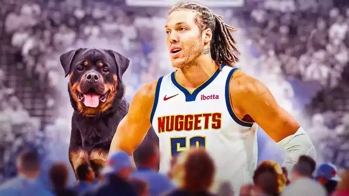 Aaron Gordon dogs: His furry friends are taking over the internet, see why