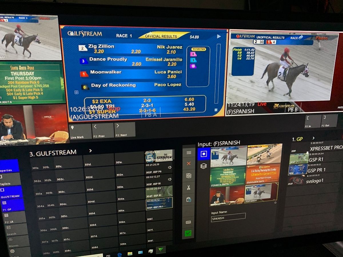 Get Your Horse Racing Fix with Hipica TV: Live Streams and More (The Perfect Channel for Every Fan)