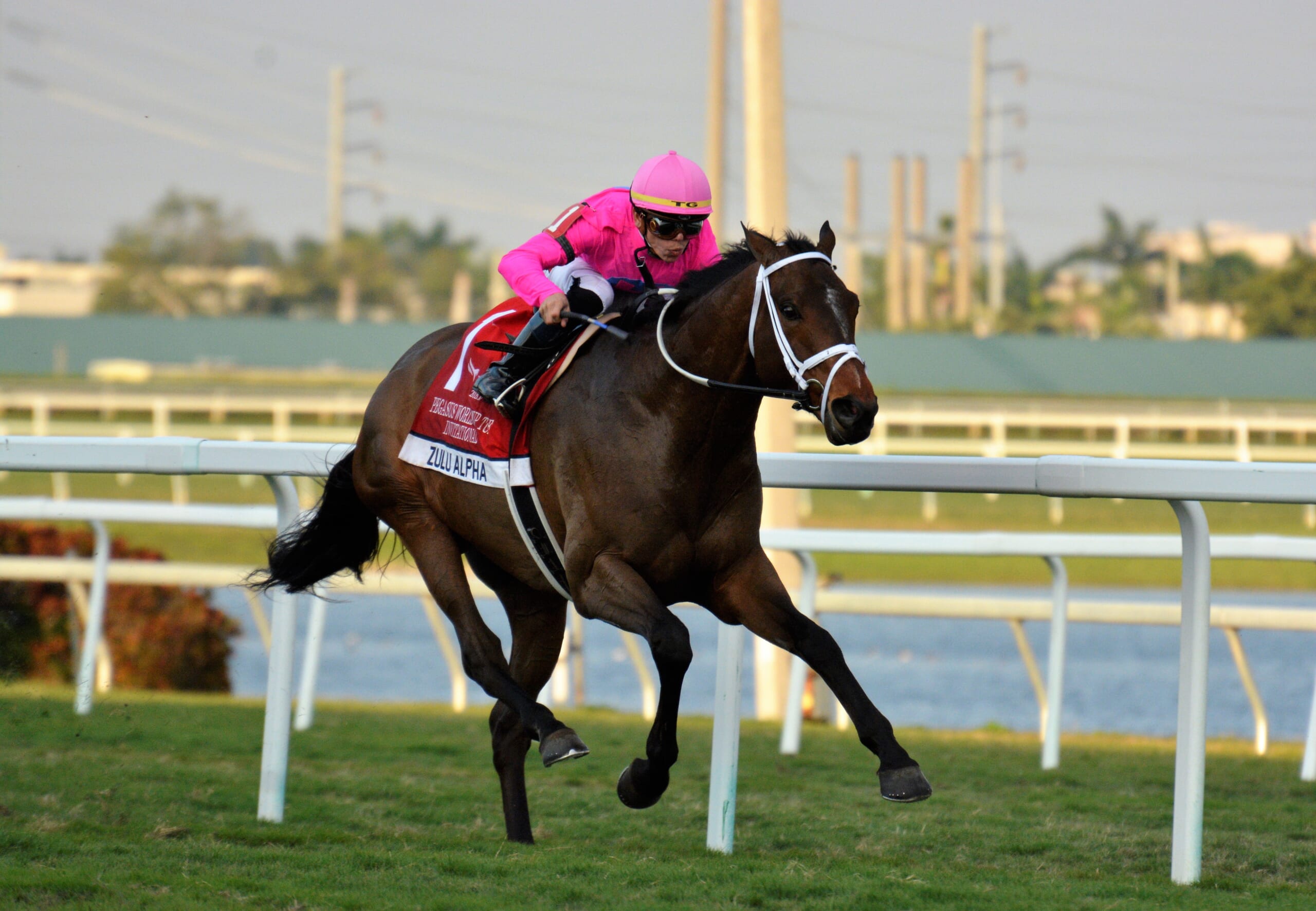Following Tyler Gaffaliones Journey - Everything You Need to Know About the Jockey!