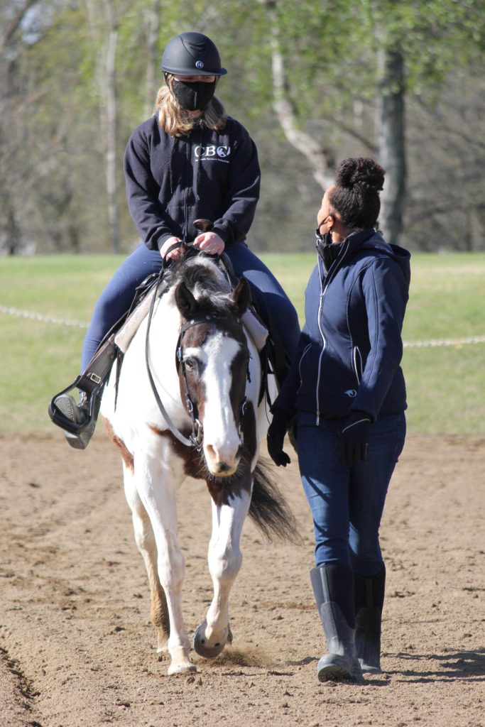 Looking for popular horse trainers? Learn about the best trainers and their training methods!