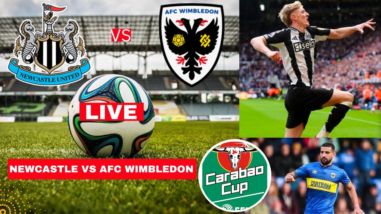 Newcastle v Wimbledon Sky: Oct 1, 2024 Match Preview (Where to Watch the Game Live)