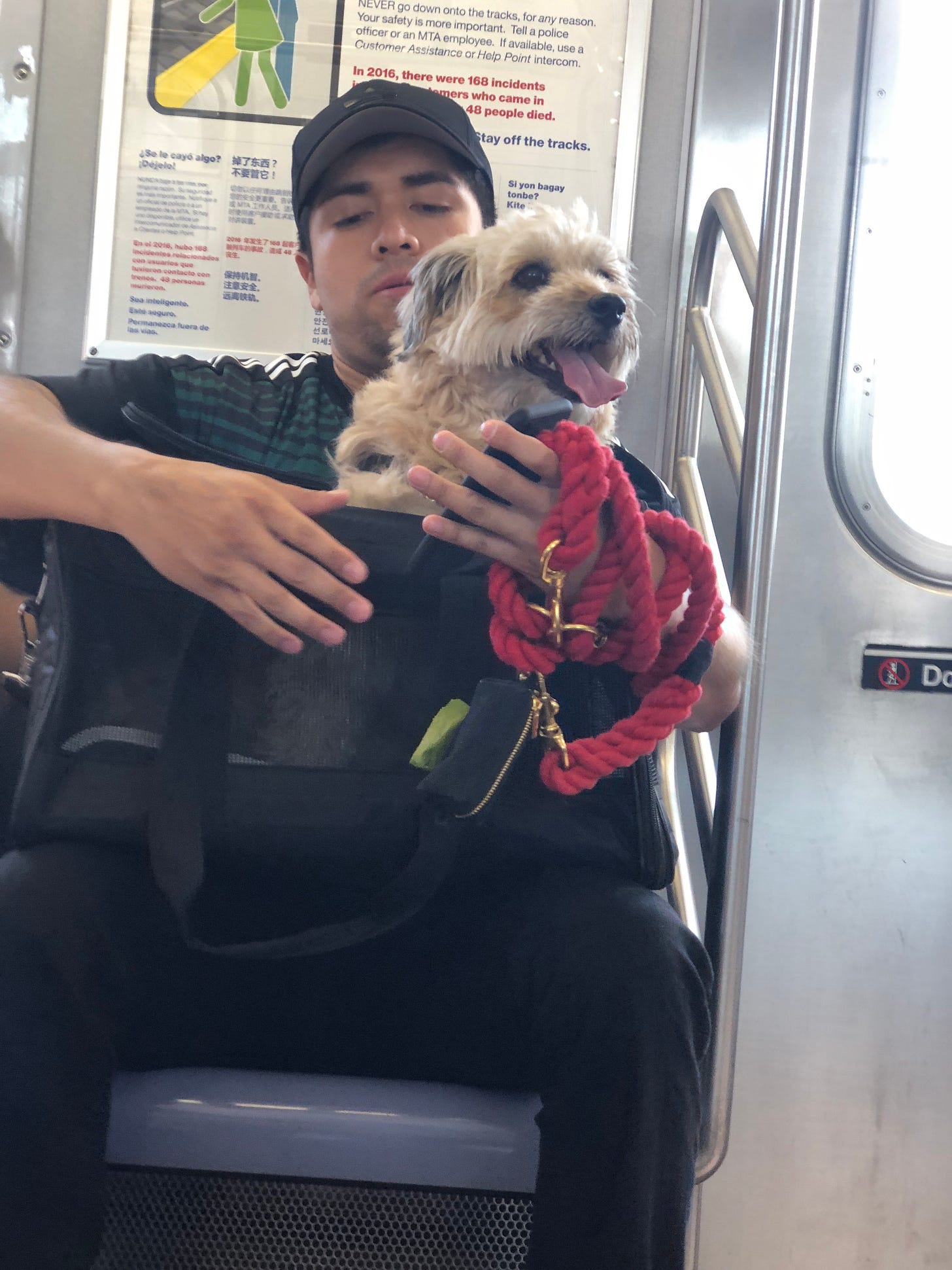 Aaron Gordon dogs: His furry friends are taking over the internet, see why