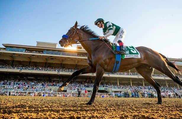 Flightline Horse: Is This The Best Racehorse Ever? Learn All About This Amazing Animal