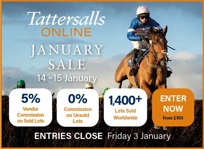 TDN Newsletter: Get the Latest Horse Racing News Delivered to Your Inbox
