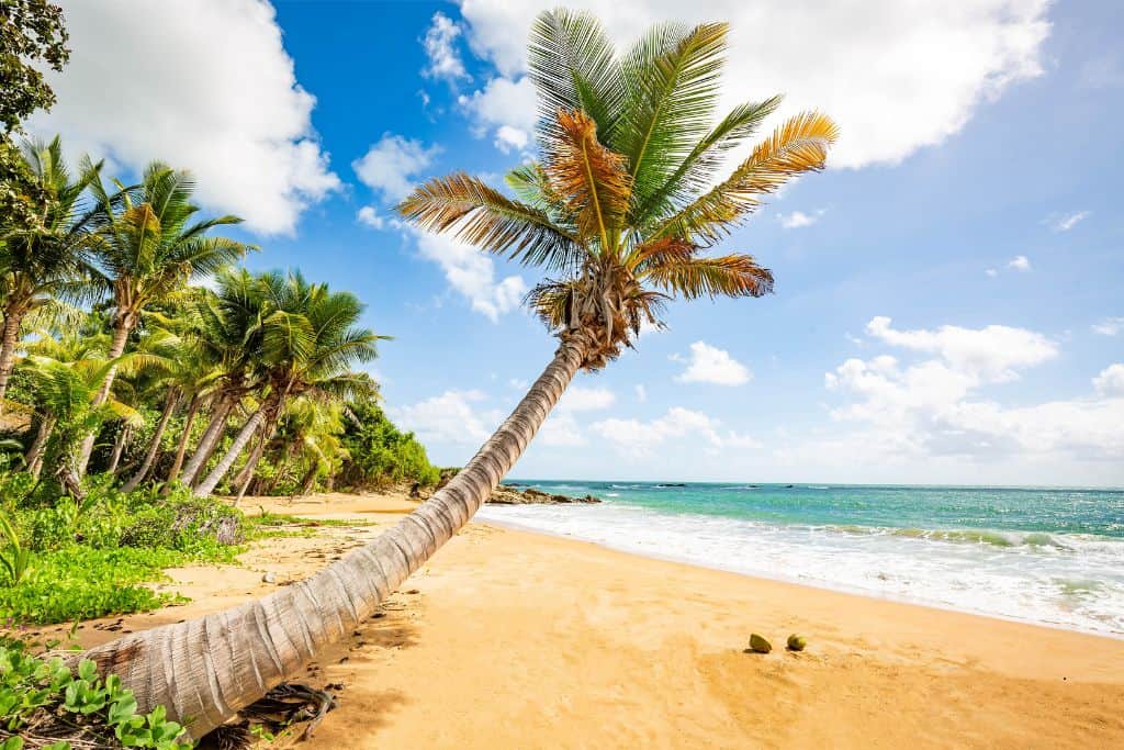 Is it worth watching the 2025 Puerto Rico Open? Check out the best way here!
