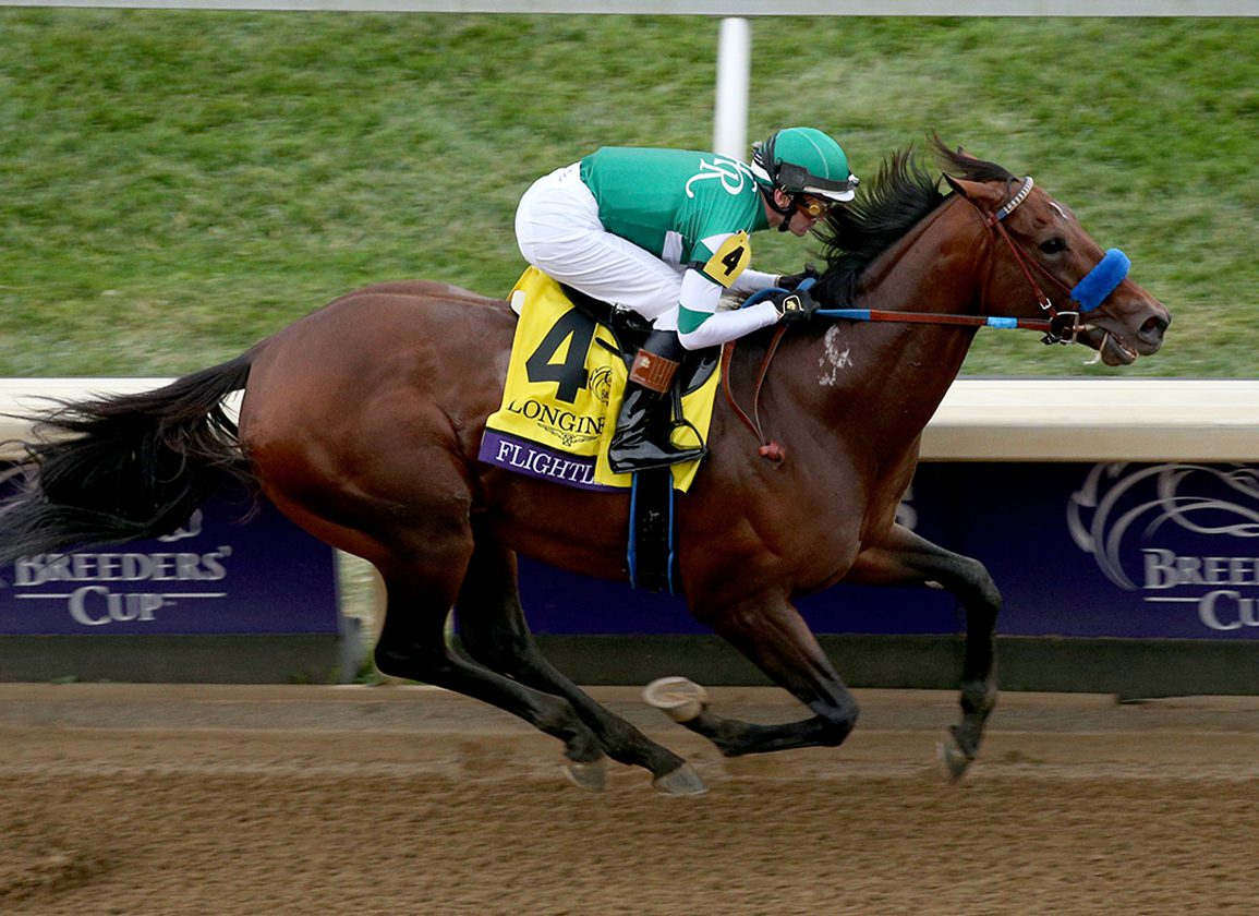 Flightline Horse: Is This The Best Racehorse Ever? Learn All About This Amazing Animal