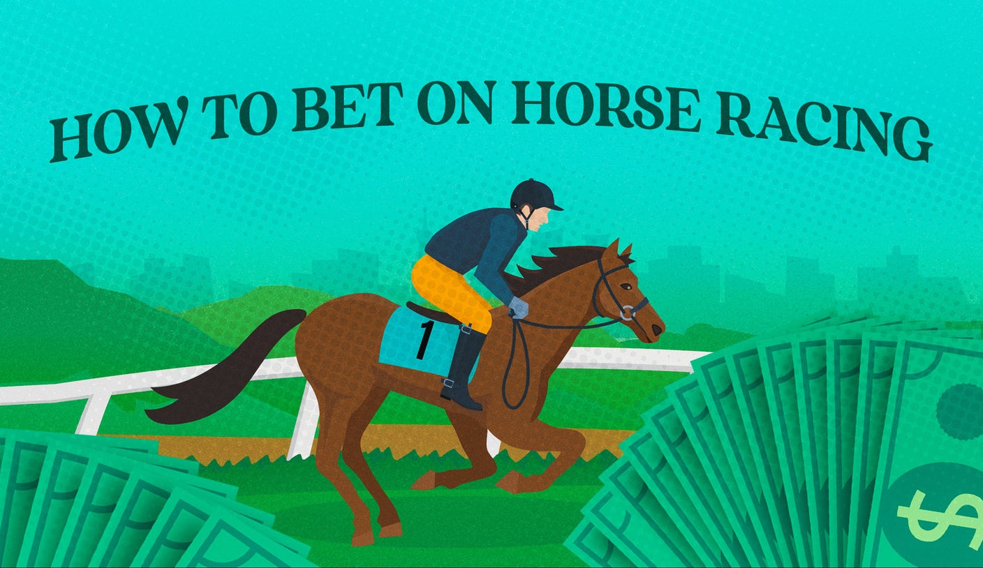 Want to bet on Tchaikovsky horse racing? Read this simple guide before you start!
