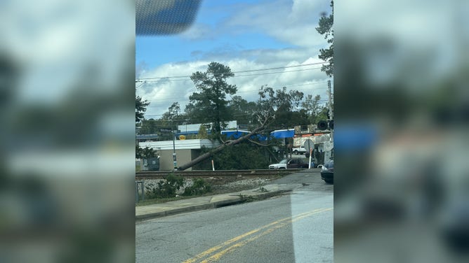 After Helene: Augusta GA Damage and What to Do Next