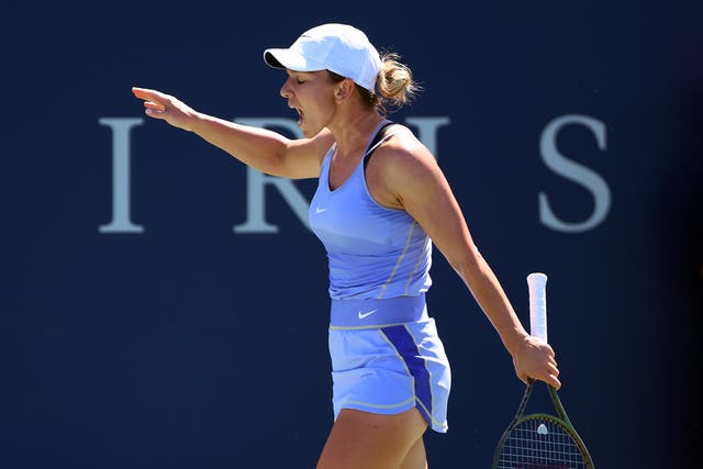 Simona Halep News Update: Whats Next for the Former Tennis Star, Is her career over?