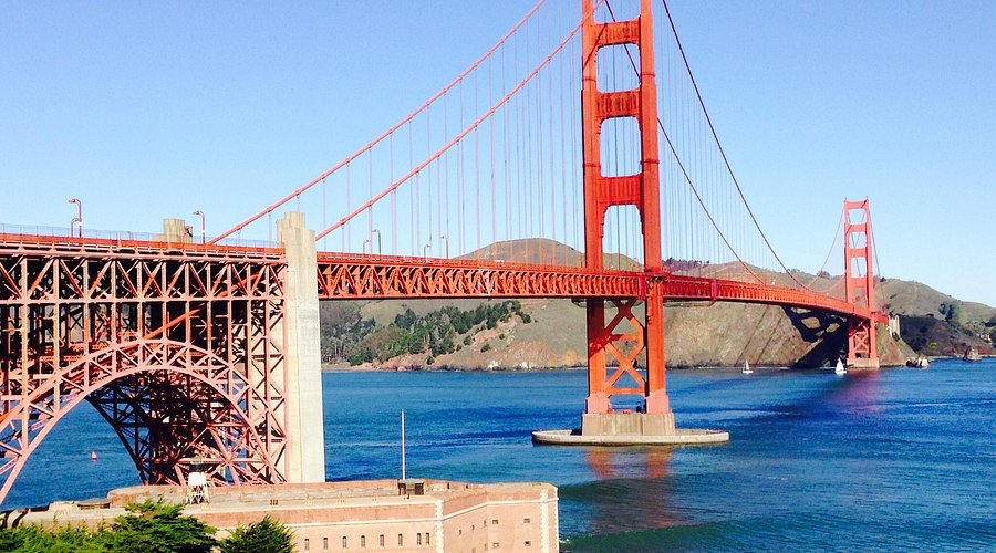 Golden Gate Results: See What Our Clients Are Saying!