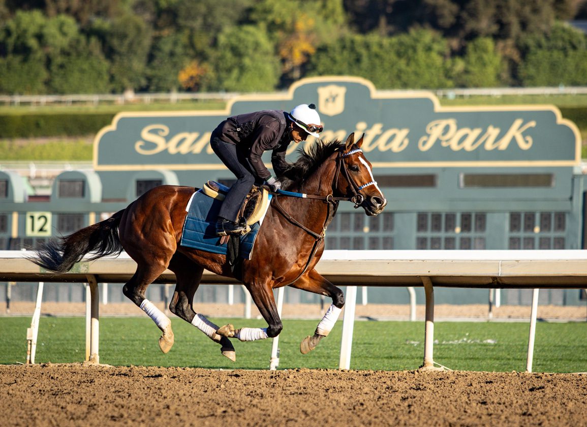 TDN Newsletter: Get the Latest Horse Racing News Delivered to Your Inbox