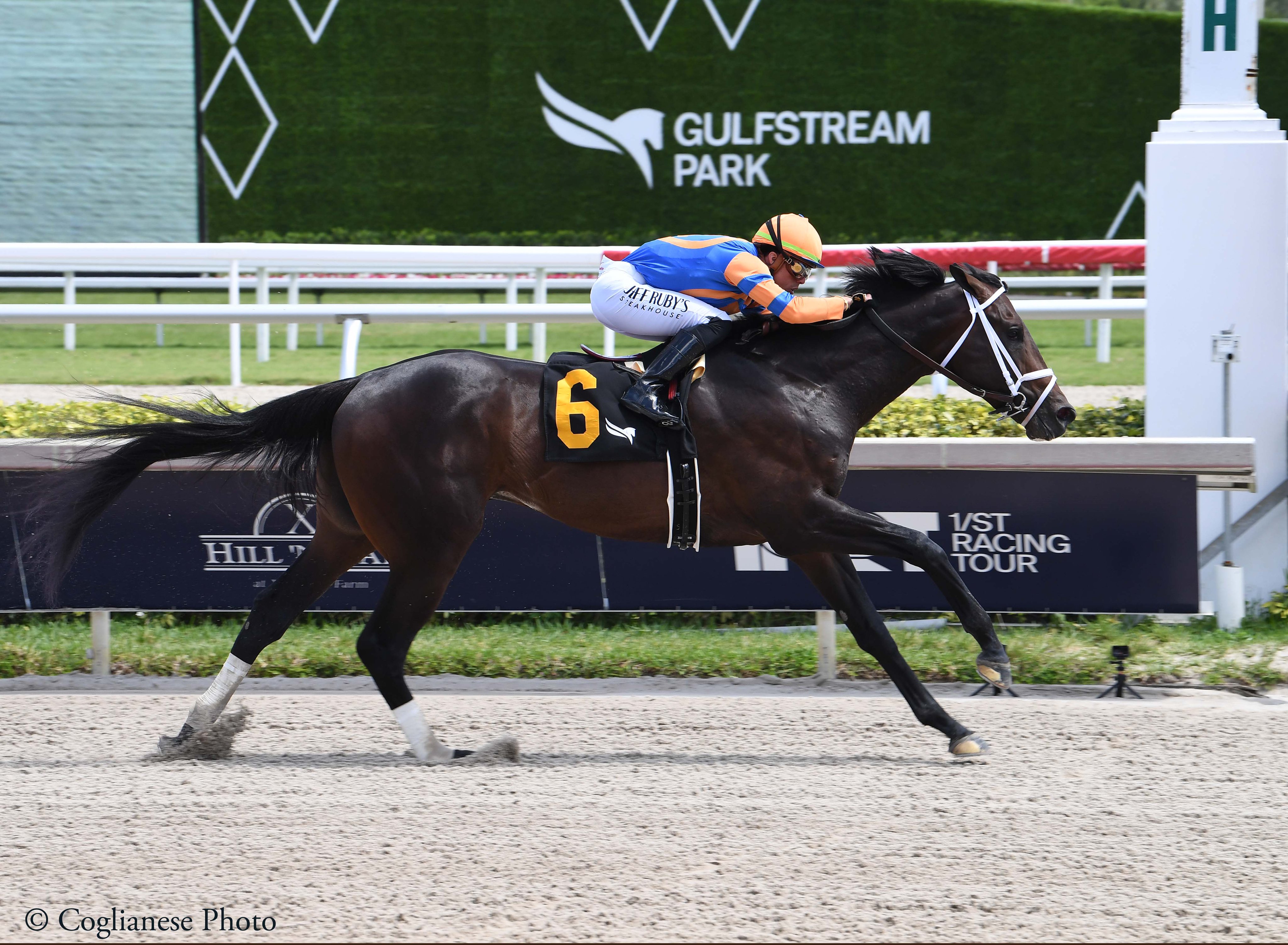 Mindframe horse for everyone: How to get started