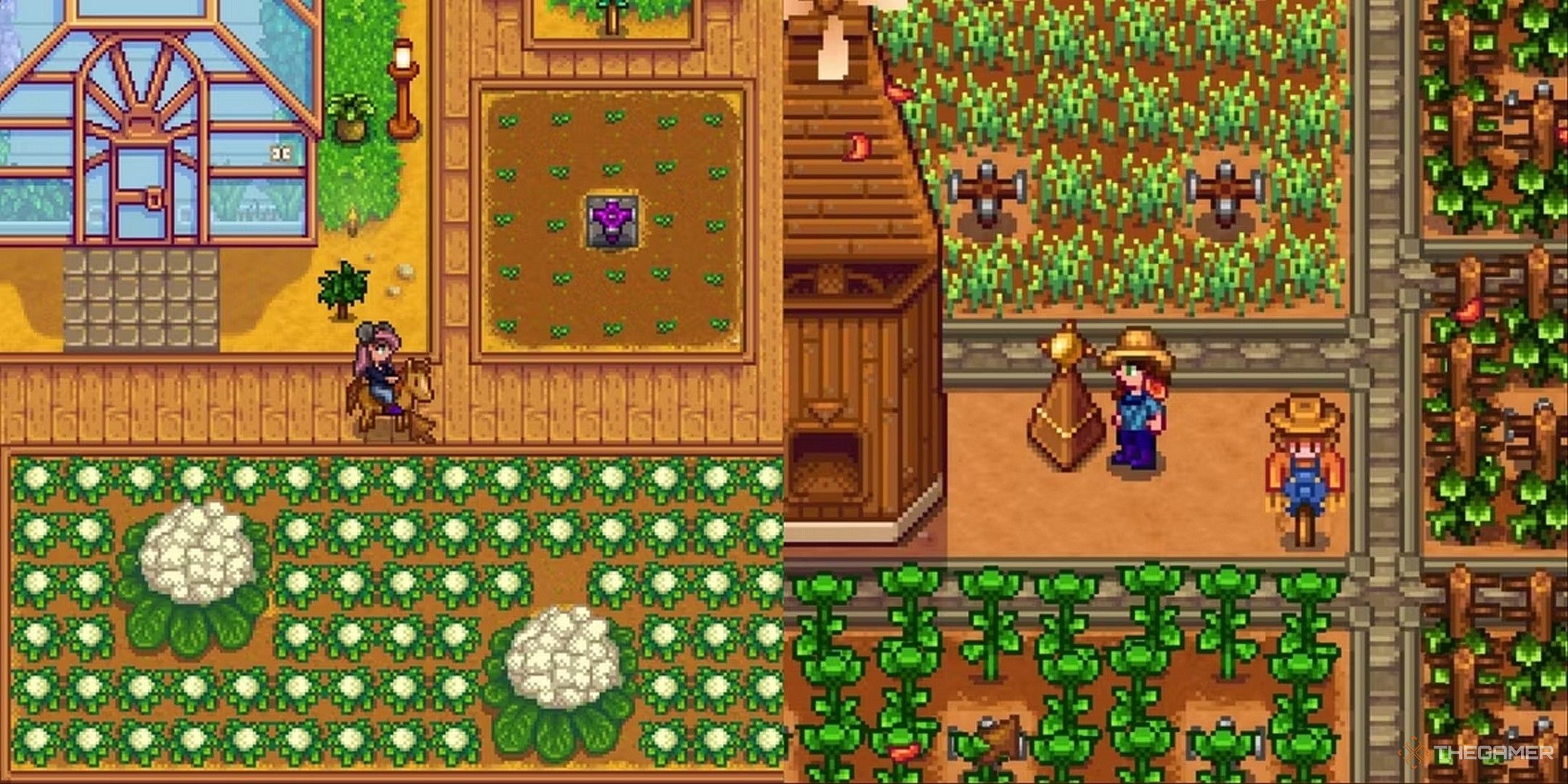 Maximize Your Farm with Garlic Stardew: Tips and Tricks for You