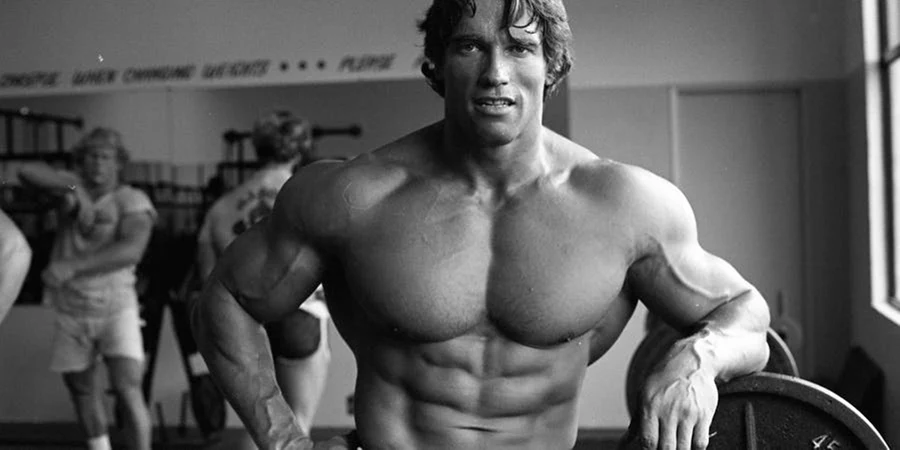 Arnold Split for Muscle Growth (Follow This Plan for Maximum Gains)
