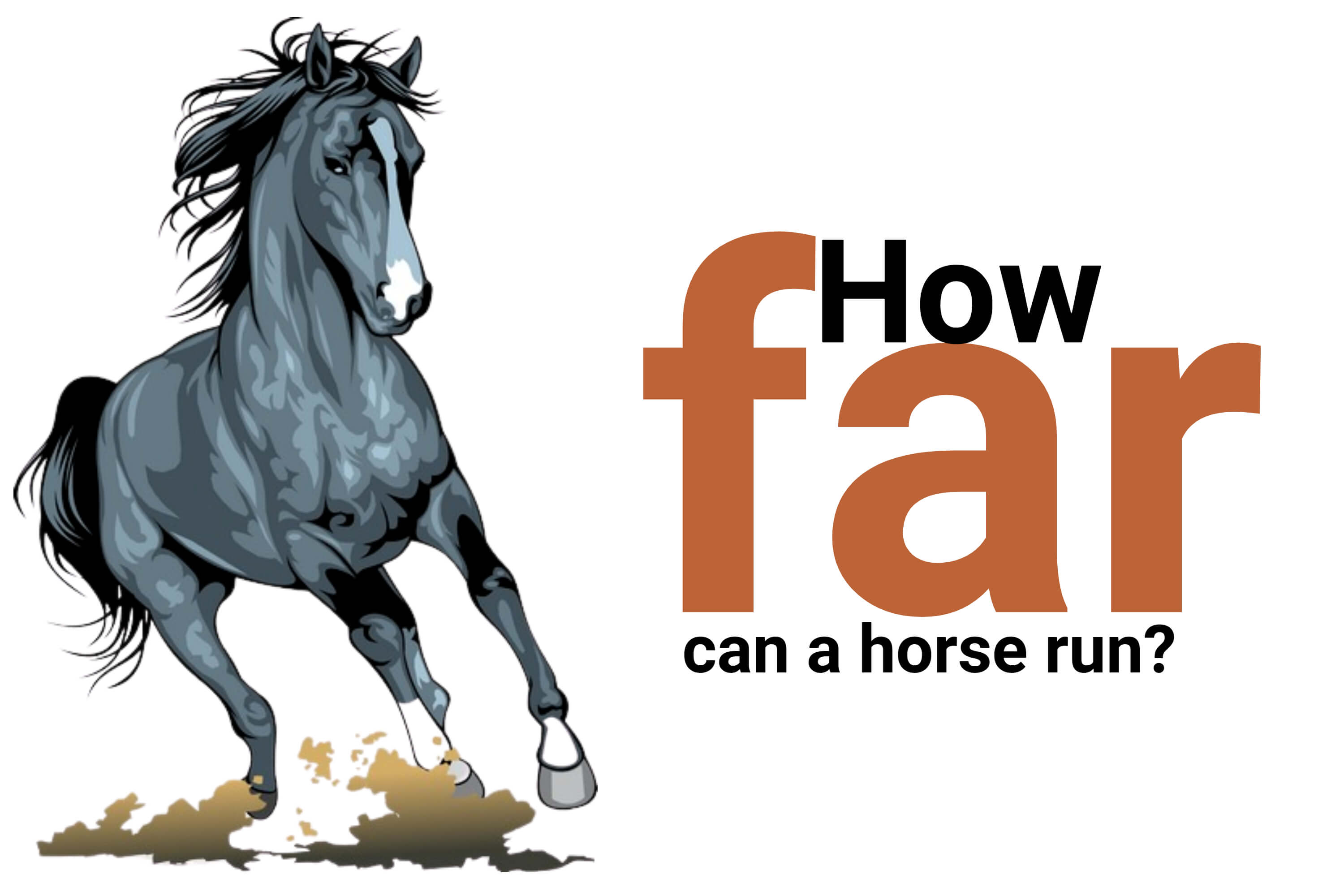 How Far Can a Horse Run (A Plain-Language Explanation of Equine Stamina and Speed)