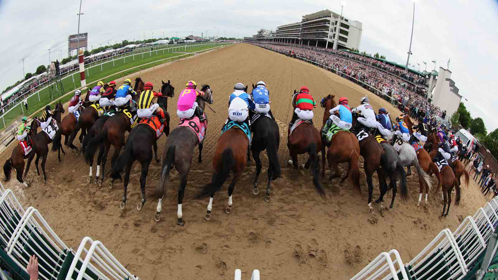 Iowa Horse in the Kentucky Derby: How to Bet? Heres Your Guide to Winning