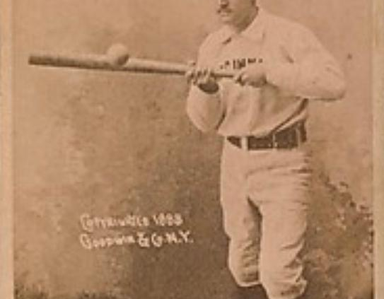 Lee Viau Baseball: The Ultimate Guide, Get the Facts Now!