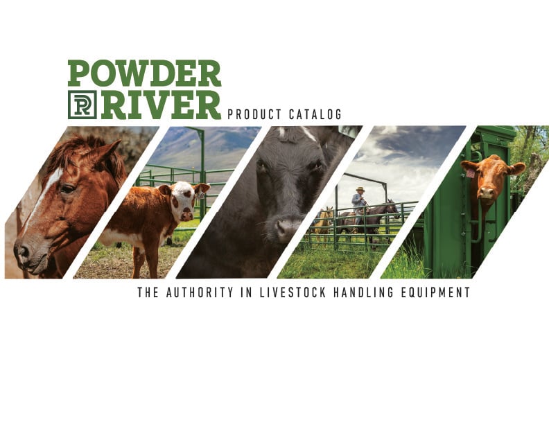 Powder River Equestrian Gear: What You Need to Know Before You Buy