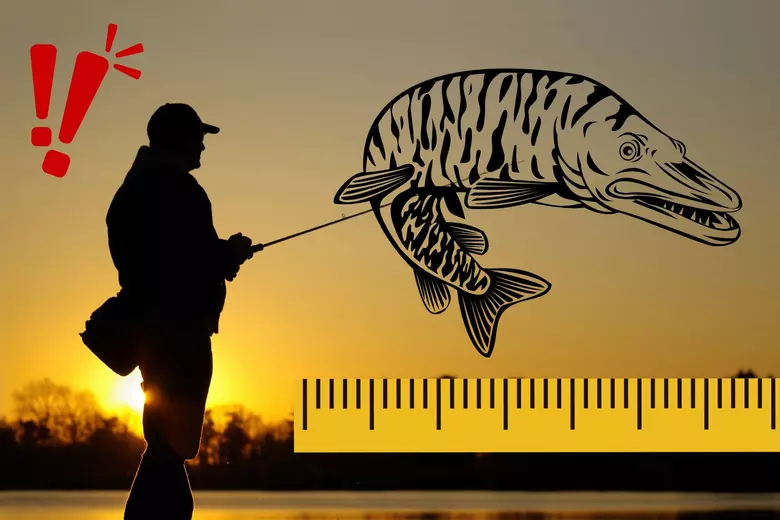Chasing the World Record Muskie: Learn the Tips and Tricks to Catch a Giant Muskie in North America!