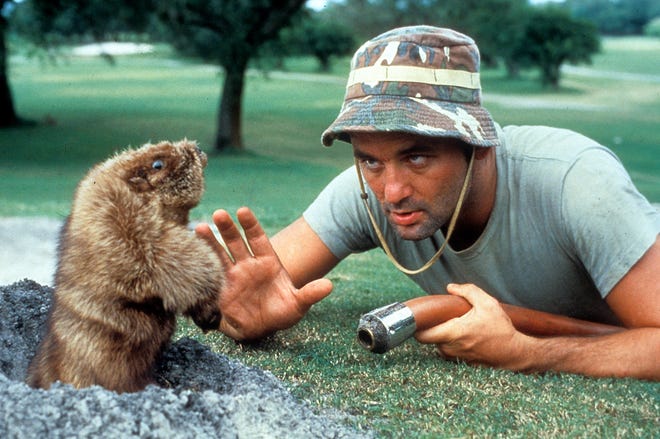 Images of Caddyshack: Relive the Movie With These Iconic Pictures