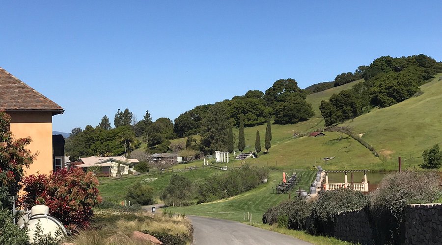 Nicholson Farm: Is It Worth Visiting? See What People Say About It!