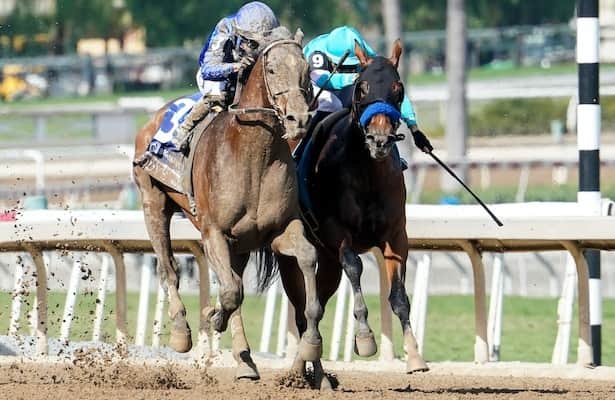 Codys Wish Breeders Cup 2023: Why Everyones Talking About This Horse! Heres What You Need to Know.