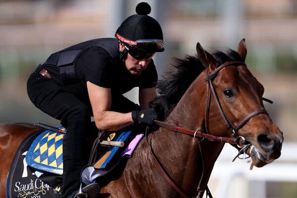 Bob Baffert News Today: All the Updates You Need on the Horse Racing Drama!