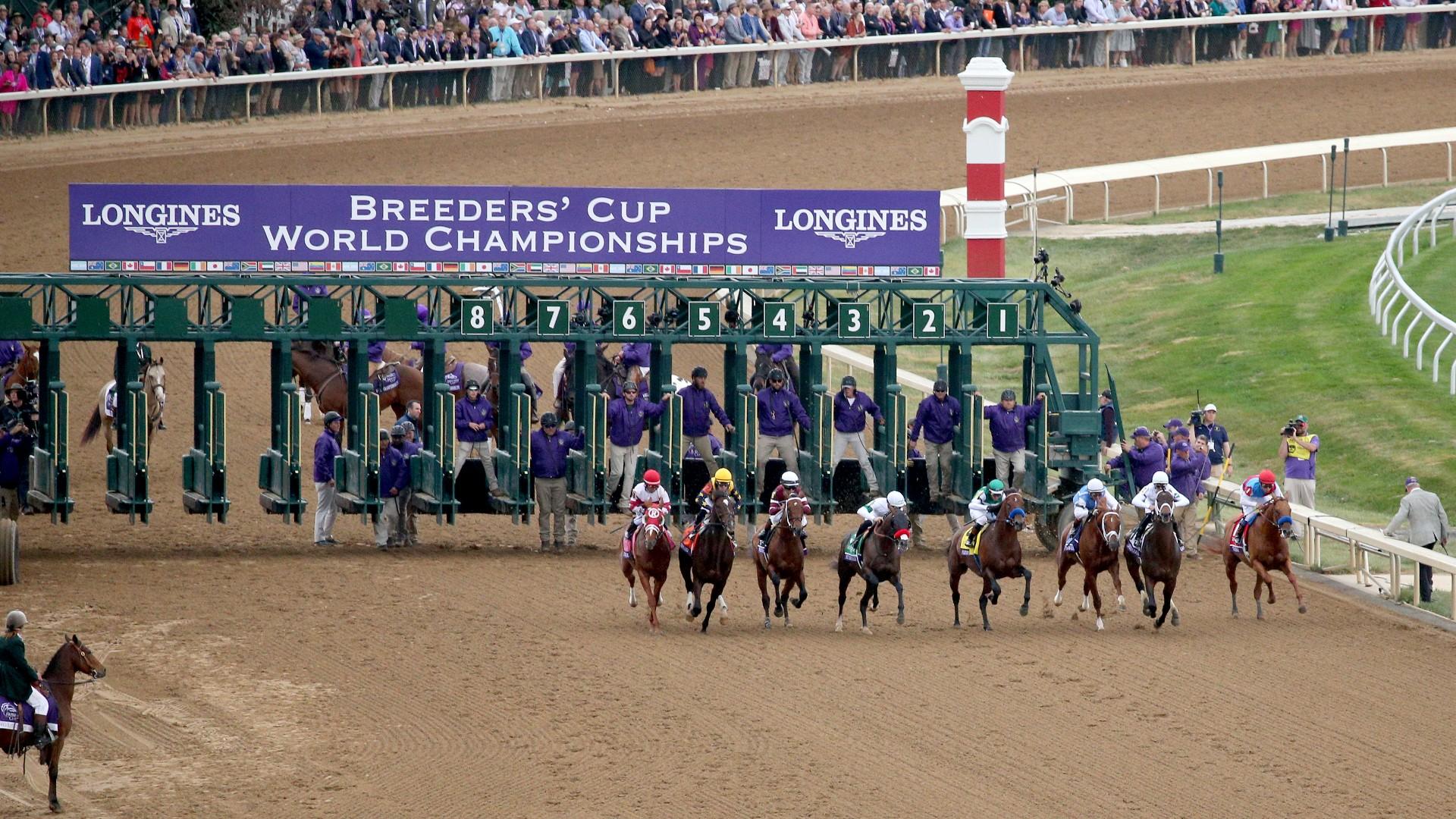 What Day Is the Breeders Cup Run? Find Out When to Watch the Biggest Horse Racing Event.