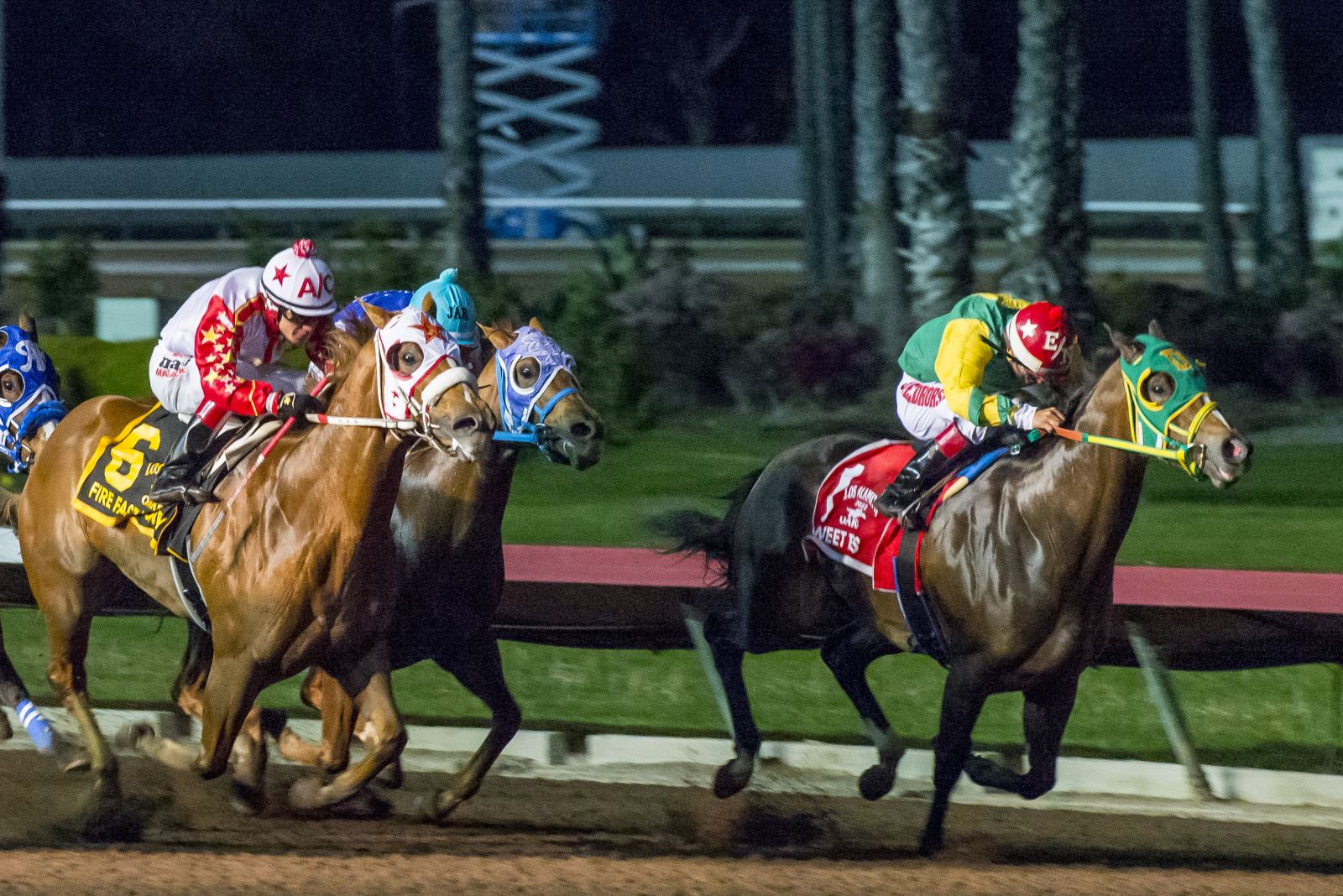 Looking for Los Alamitos Race Track Entries? Heres Where to Find Them and What You Need to Know