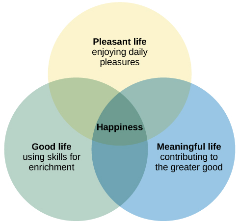 Pleasure Above All: Why Its Important and How to Get More (Easy Ways to Boost Happiness)