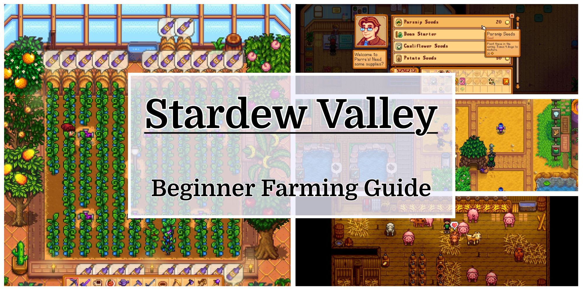 Maximize Your Farm with Garlic Stardew: Tips and Tricks for You
