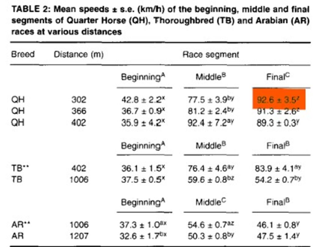 Race Horse Speed: Whats the Average? Find Out the Stats Now!