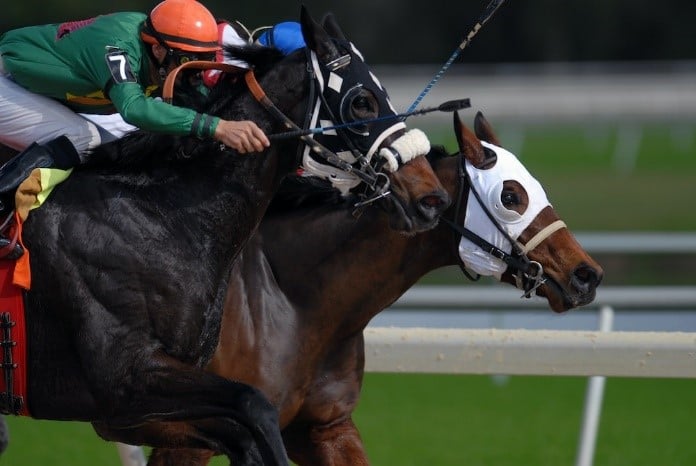 What is distance horse racing? Heres what you need to know about it!