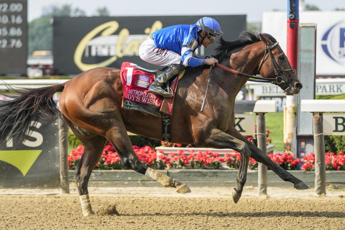 Codys Wish Breeders Cup 2023: Why Everyones Talking About This Horse! Heres What You Need to Know.