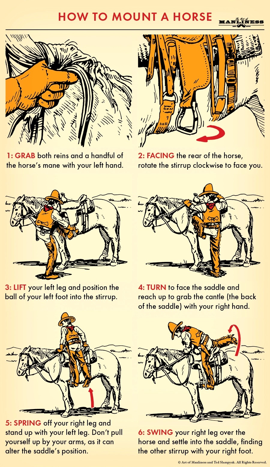 How to Suit a Horse Correctly Step-by-Step Guide for Beginners and Tips