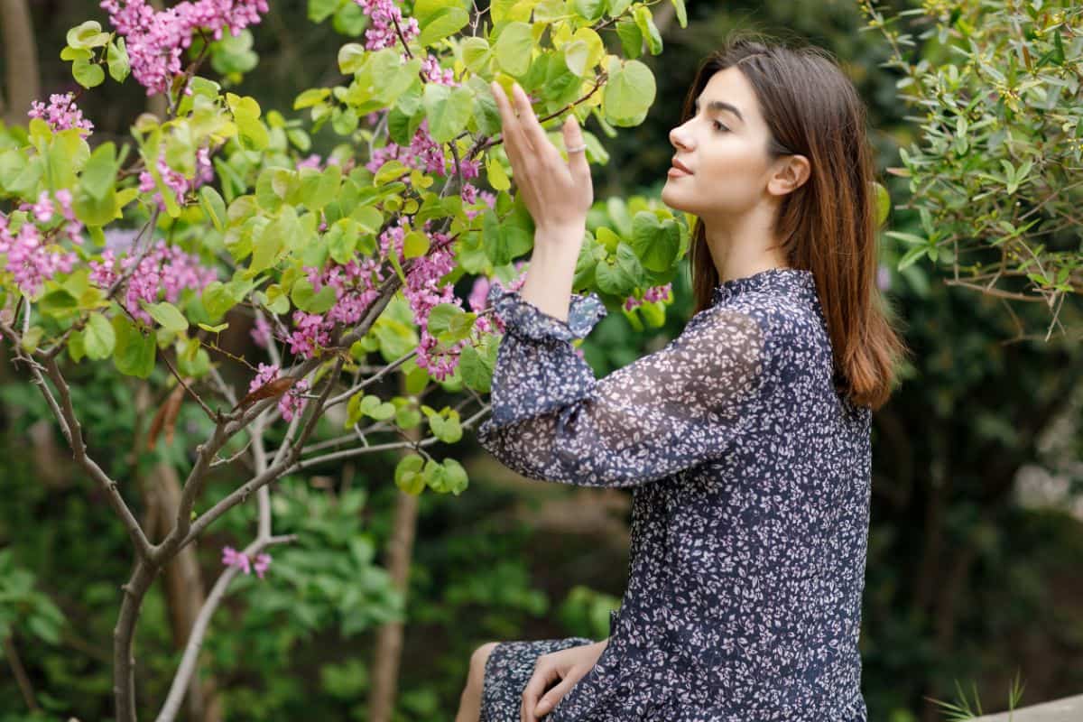 Tracing the Trend: Discover Where Fig Leaves Came into Fashion