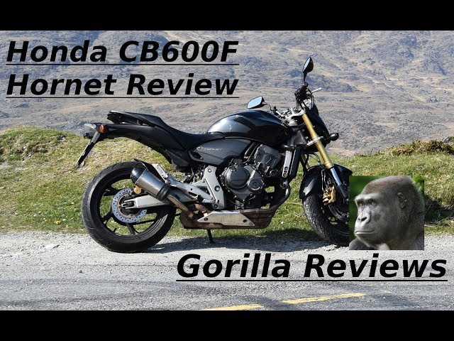cb600f Owner Reviews (What Riders Really Think of It)