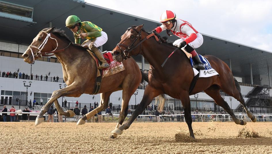Winning with Deposition Horse Wood Memorial: Top Tips and Advice From Leading Legal Experts.