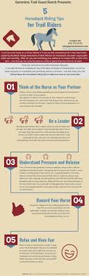 Handsome Horse Riding Tips for All Levels(Improve Your Skills Today)
