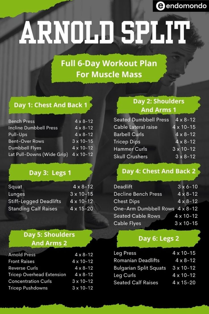 Arnold Split for Muscle Growth (Follow This Plan for Maximum Gains)