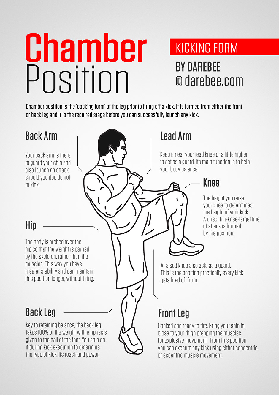 Spartan Kick Breakdown: What Muscles Do You Use and How to Train for This Powerful Kick?
