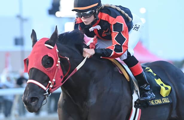 Who is Tylers Tribe Horse? Get to know this amazing horse!
