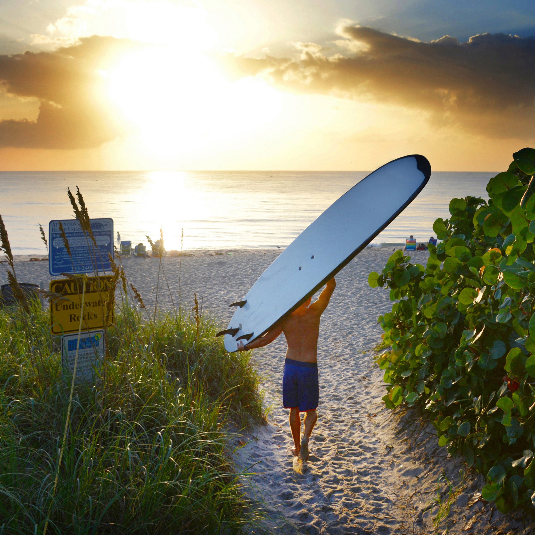 Florida Tracks and Trails: Your Ultimate Guide to Adventure - Get Ready to Explore the Best Trails