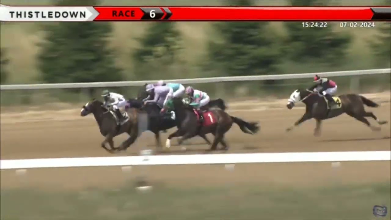 Need Thistledown Replays? Weve Got You Covered! (Find Race Replays Quickly and Easily)