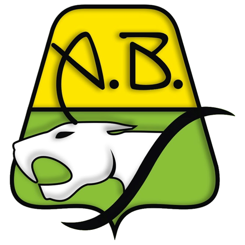 Bucaramanga FC: Stay Updated on Your Team (Match Highlights, News, and More in One Place)