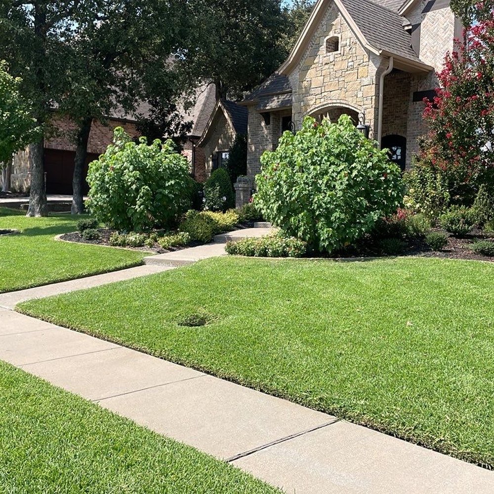 Want King Ranch Grass Arlington? Get a Lush Green Lawn
