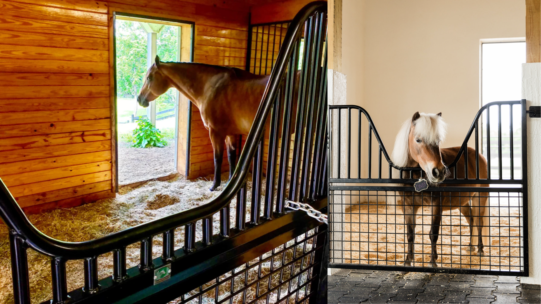 Endlessly Horse: Best Practices for Providing Endless Enrichment for Your Horse